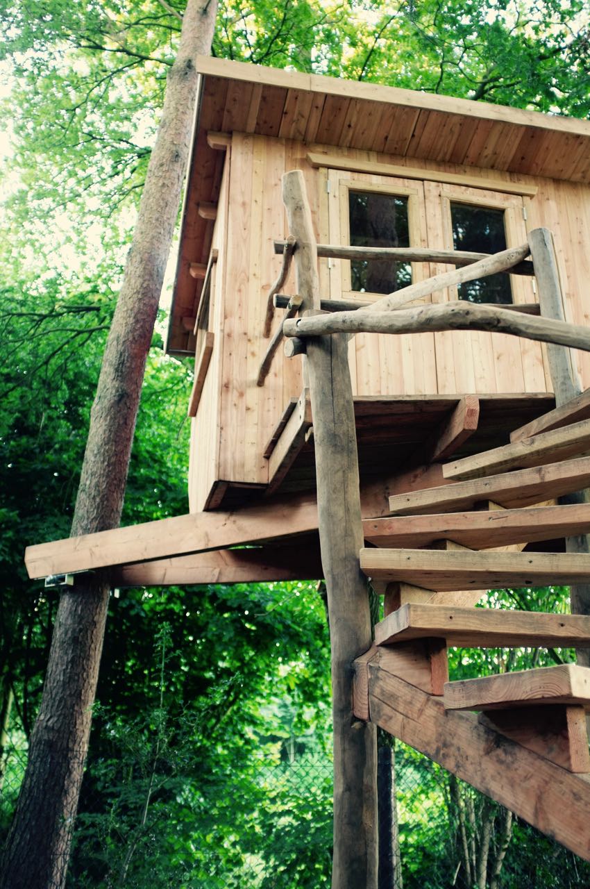 boomhut laten maken