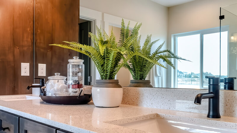 Welke planten zijn geschikt voor in de badkamer