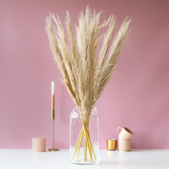 pampas pluimen