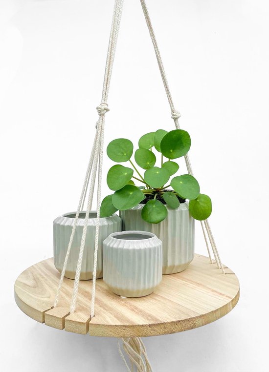 Hangplank plantenhanger