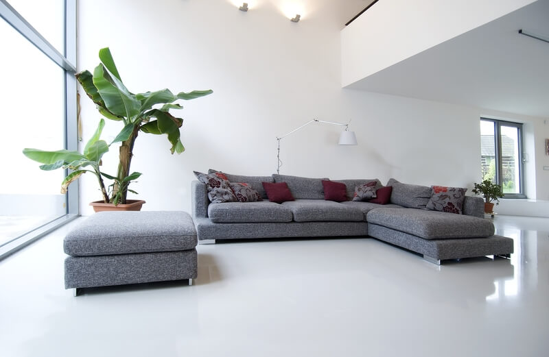 bananen boom woonkamer