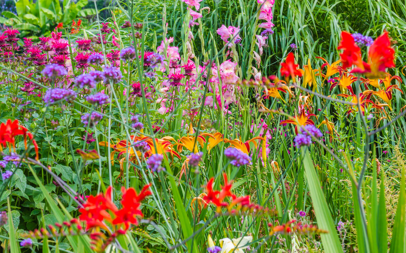 vlindertuin