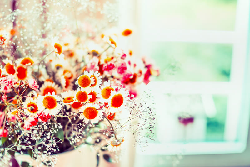 bloemen langer goed houden
