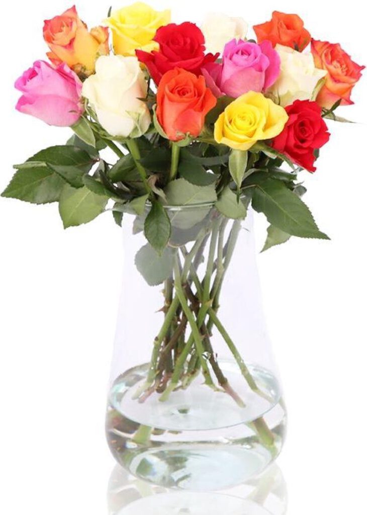 e-bloom Brievenbus Rozen Bonte