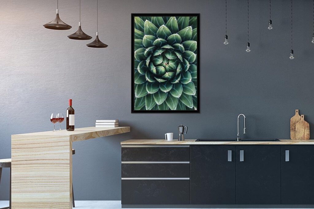 Foto van een botanische plant van boven