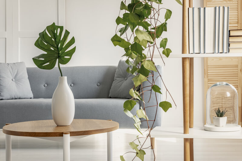 Met deze tips creëer je een botanisch interieur