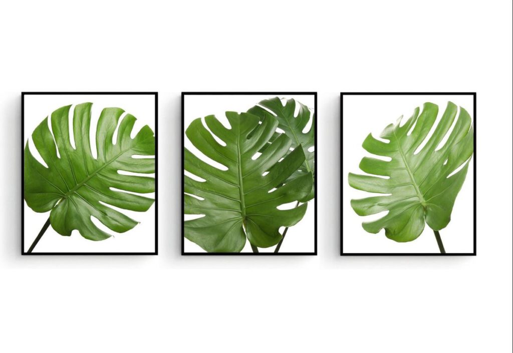 Poster Set 3 Botanische Tropische Bladeren