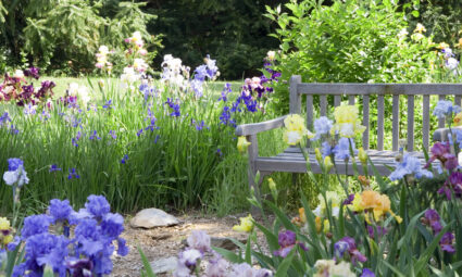 tuin-nieuw-leven-inblazen