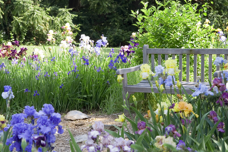 tuin-nieuw-leven-inblazen