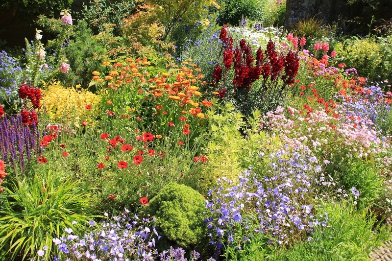 tuin zomerklaar maken