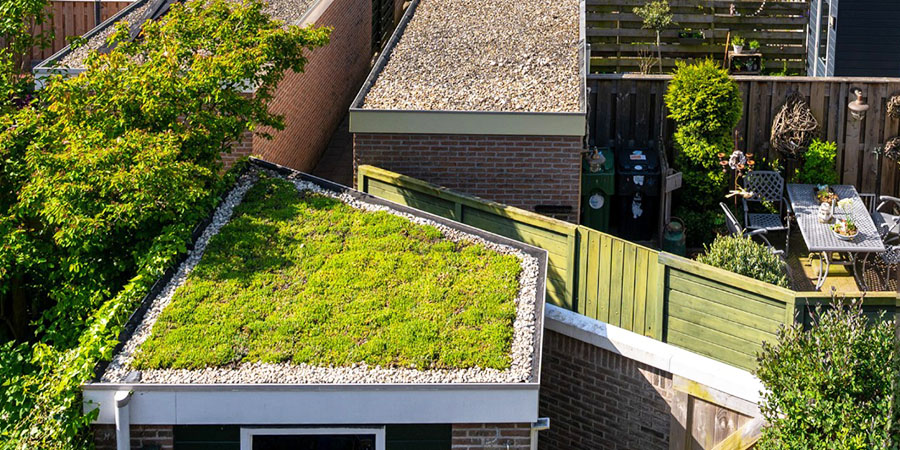 groen-daken-steeds-populairder
