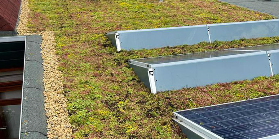 meer-rendement-zonnepanelen-met-groendak